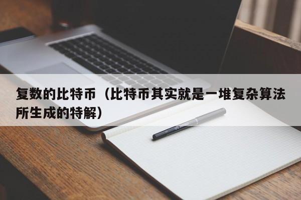 复数的比特币(比特币其实就是一堆复杂算法所生成的特解)