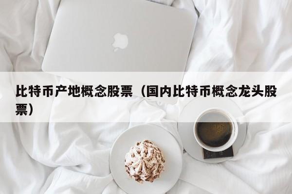 比特币产地概念股票（国内比特币概念龙头股票）