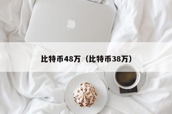 比特币48万（比特币38万）