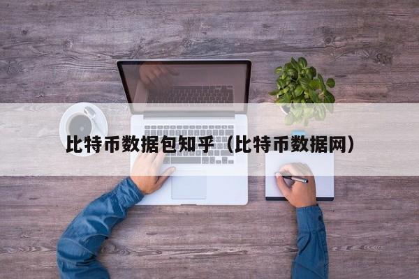 比特币数据包知乎(比特币数据网)