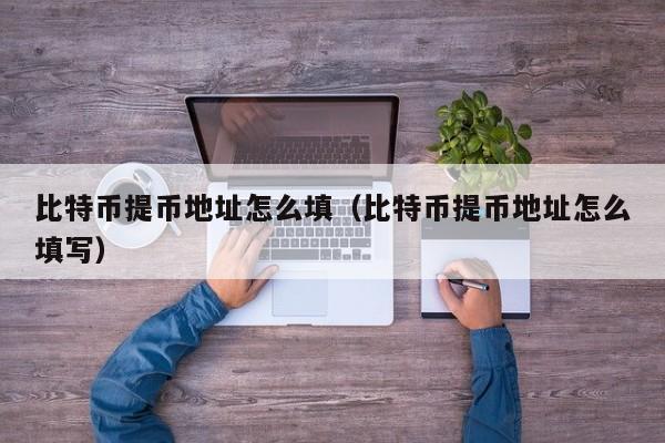 比特币提币地址怎么填(比特币提币地址怎么填写)