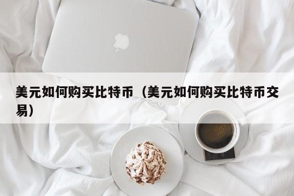美元如何购买比特币（美元如何购买比特币交易）