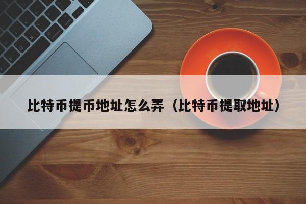 比特币提币地址怎么弄(比特币提取地址)
