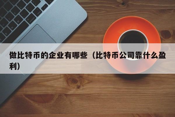 做比特币的企业有哪些（比特币公司靠什么盈利）