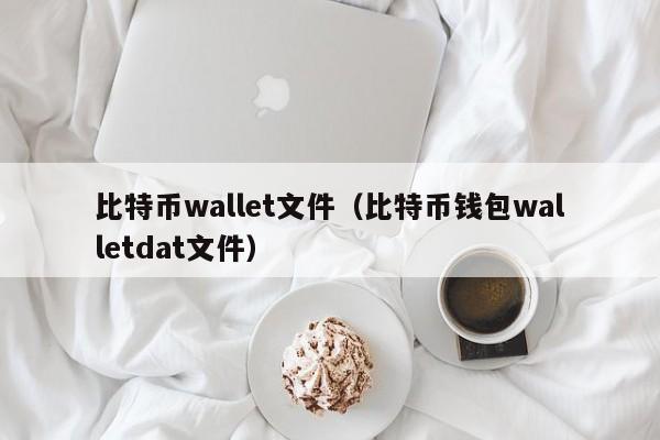 比特币wallet文件(比特币钱包walletdat文件)