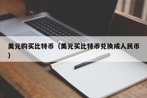 美元购买比特币(美元买比特币兑换成人民币)