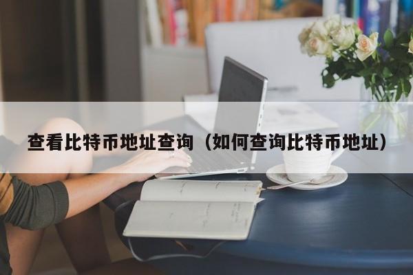 查看比特币地址查询（如何查询比特币地址）