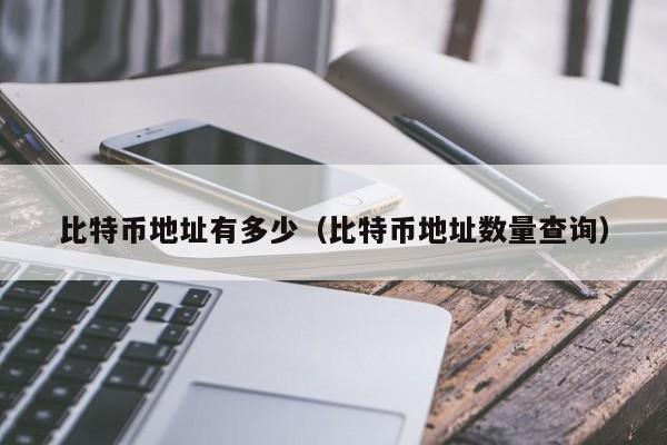 比特币地址有多少（比特币地址数量查询）