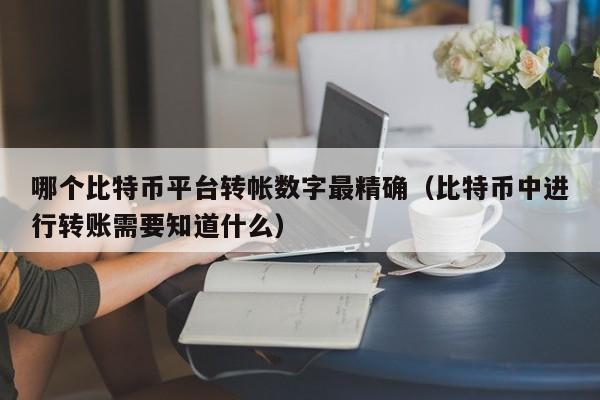 哪个比特币平台转帐数字最精确（比特币中进行转账需要知道什么）