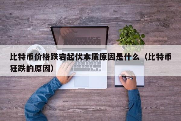 比特币价格跌宕起伏本质原因是什么(比特币狂跌的原因)