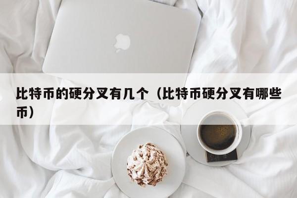 比特币的硬分叉有几个（比特币硬分叉有哪些币）