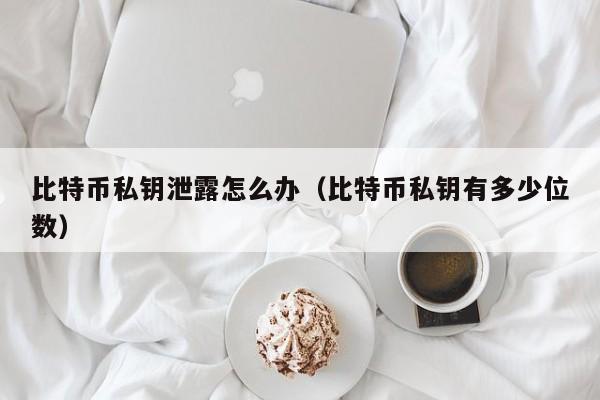 比特币私钥泄露怎么办（比特币私钥有多少位数）