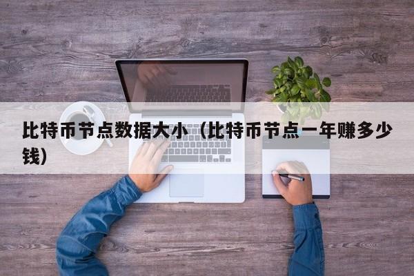 比特币节点数据大小（比特币节点一年赚多少钱）