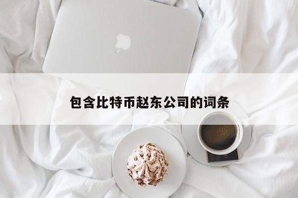 包含比特币赵东公司的词条
