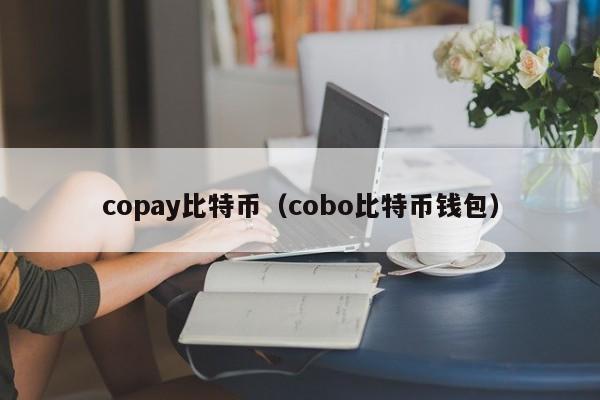 copay比特币（cobo比特币钱包）
