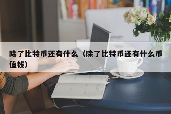除了比特币还有什么(除了比特币还有什么币值钱)