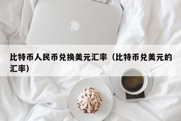 比特币人民币兑换美元汇率（比特币兑美元的汇率）