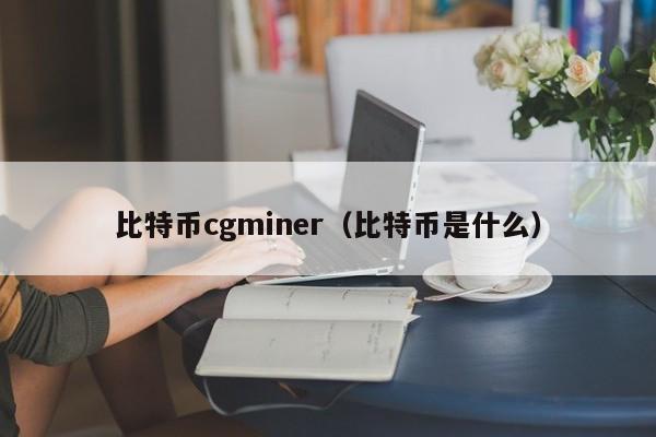 比特币cgminer（比特币是什么）