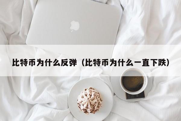 比特币为什么反弹(比特币为什么一直下跌)