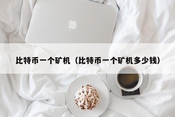 比特币一个矿机（比特币一个矿机多少钱）