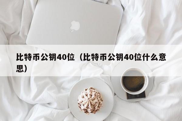 比特币公钥40位（比特币公钥40位什么意思）