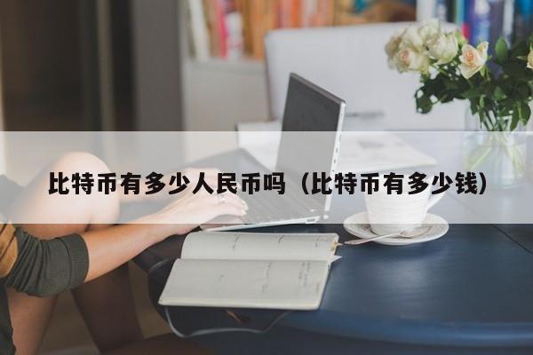 比特币有多少人民币吗（比特币有多少钱）