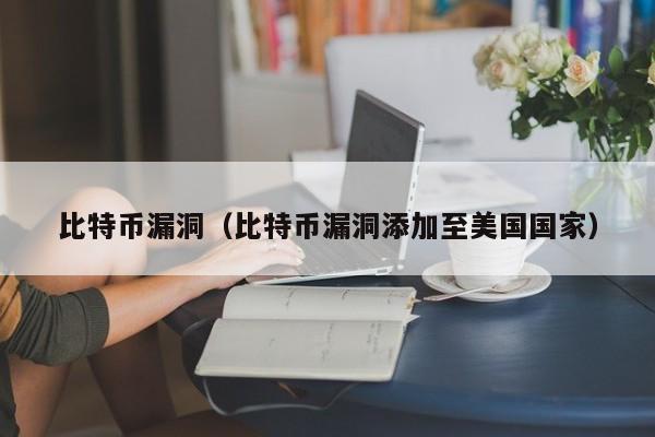 比特币漏洞(比特币漏洞添加至美国国家)