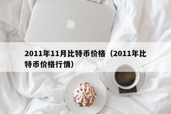 2011年11月比特币价格（2011年比特币价格行情）