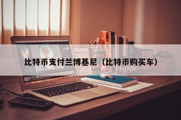 比特币支付兰博基尼（比特币购买车）