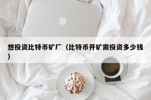 想投资比特币矿厂(比特币开矿需投资多少钱)