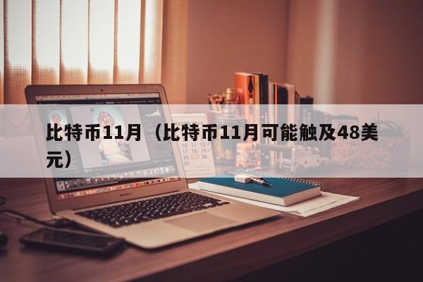 比特币11月（比特币11月可能触及48美元）