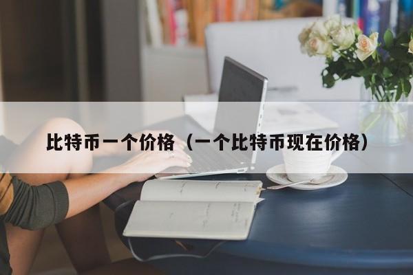 比特币一个价格（一个比特币现在价格）