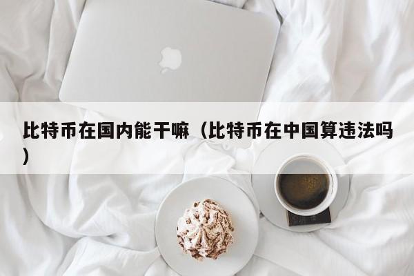 比特币在国内能干嘛（比特币在中国算违法吗）