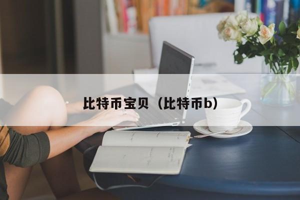 比特币宝贝（比特币b）
