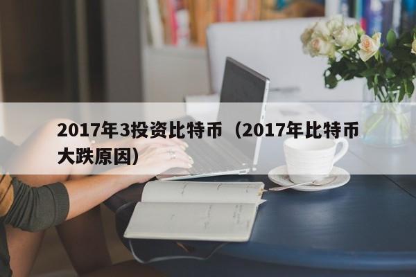 2017年3投资比特币(2017年比特币大跌原因)