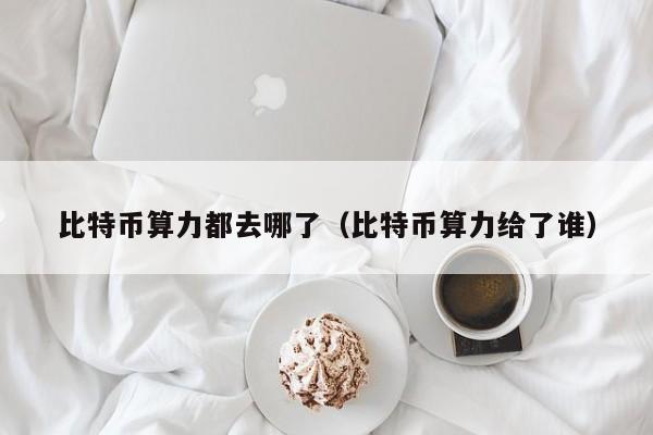 比特币算力都去哪了（比特币算力给了谁）